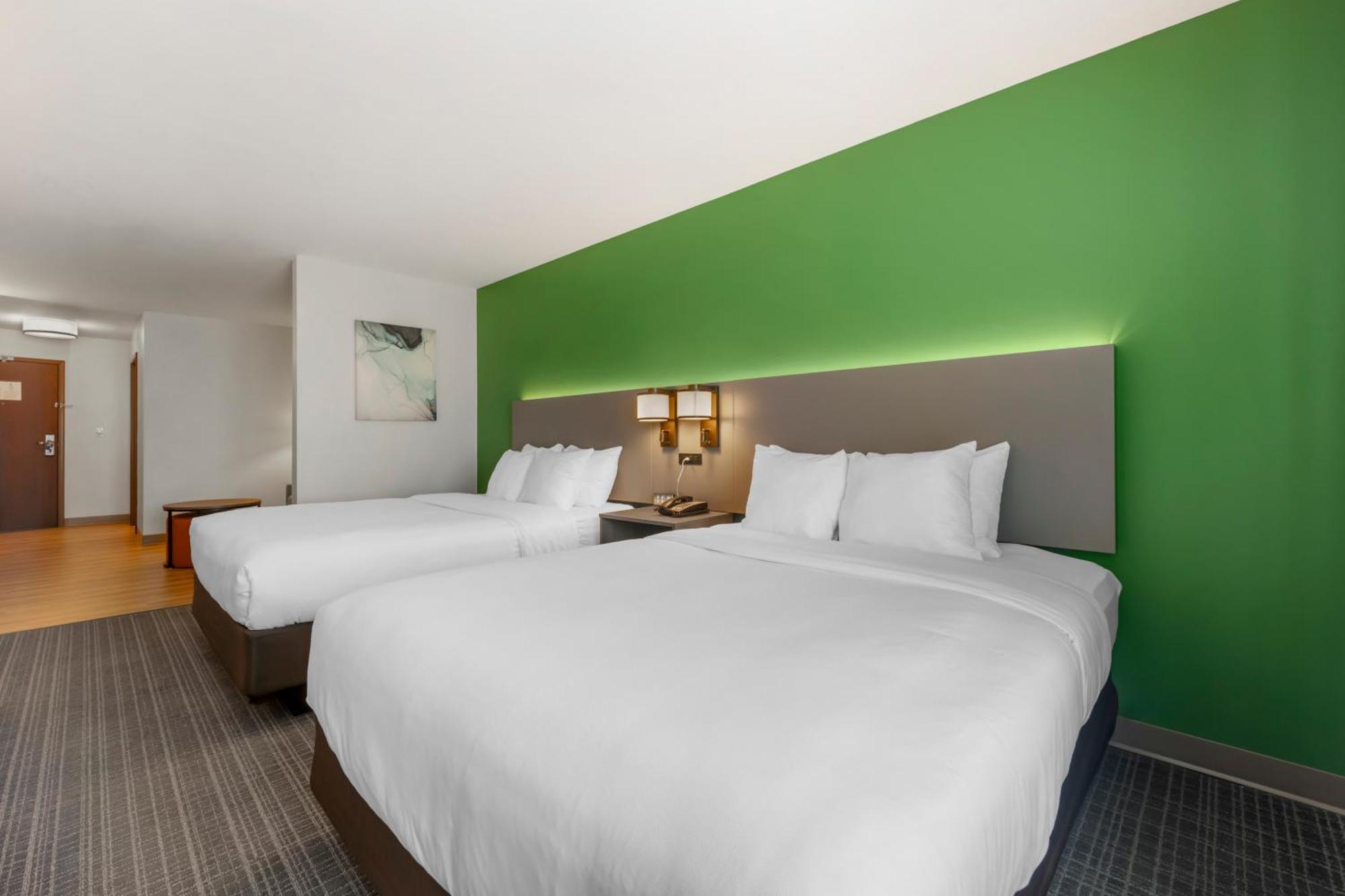 Comfort Suites Conference Center רפיד סיטי מראה חיצוני תמונה