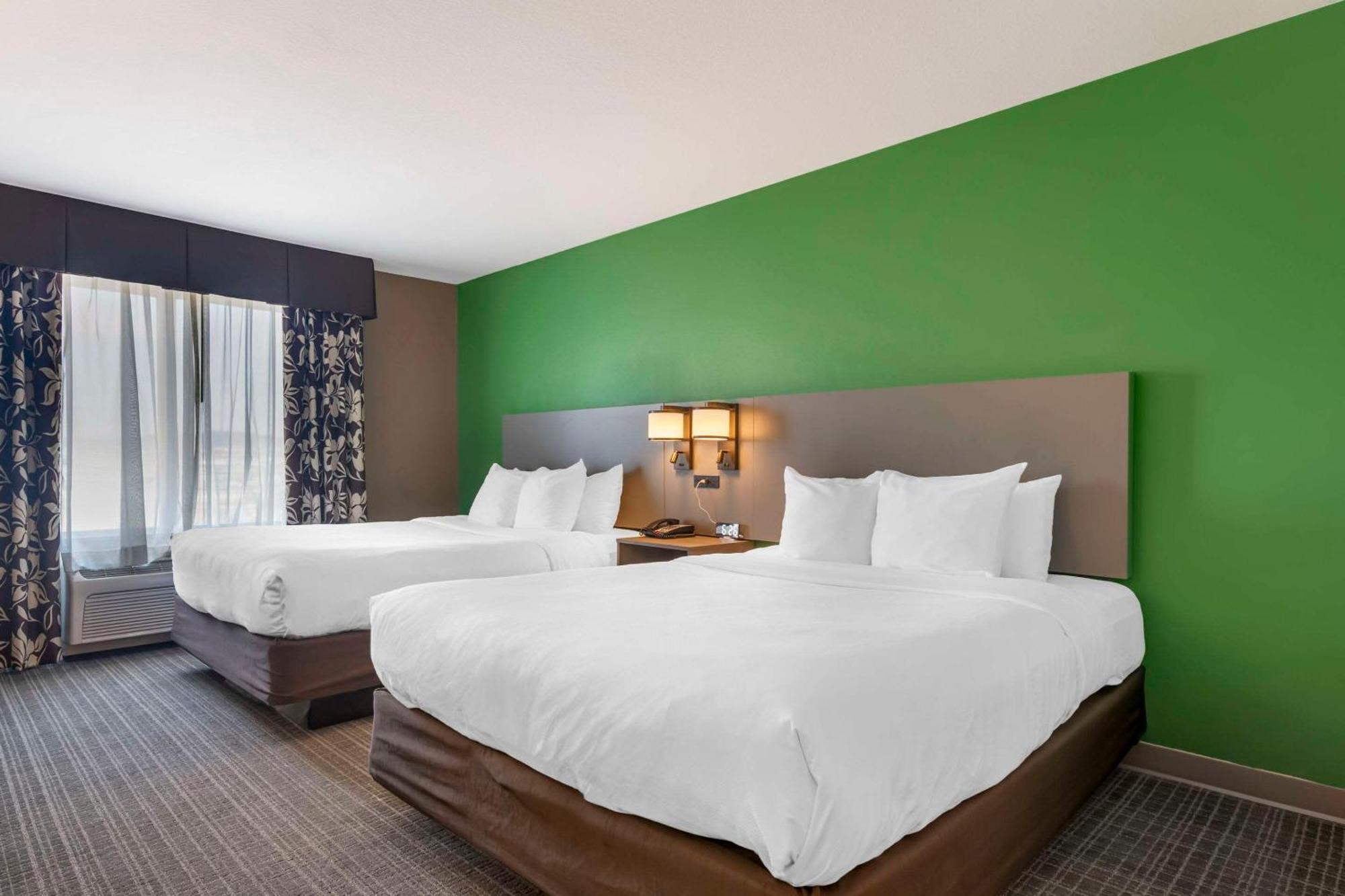 Comfort Suites Conference Center רפיד סיטי מראה חיצוני תמונה